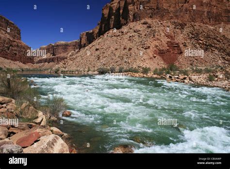 The Colorado River Flows Through Badger Creek Rapid In Marble Canyon
