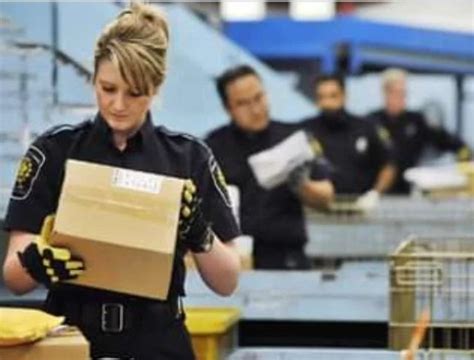 How To Ship Internationally With The Help Of A Professional Customs Agent