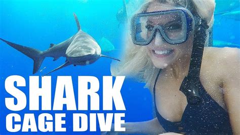 crazy close up shark cage dive in hawaii on the oahu north shore oahu travel hawaii travel