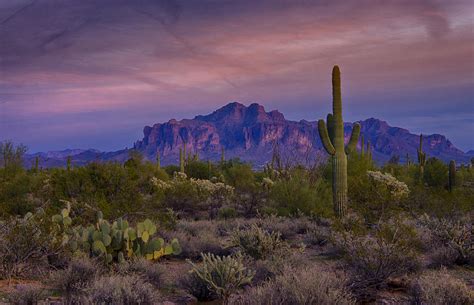 A Beautiful Desert Evening Photograph By Saija Lehtonen