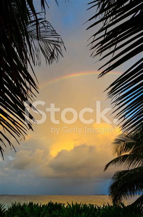 Caribbean Rainbow Stock Photo Royalty Free Freeimages
