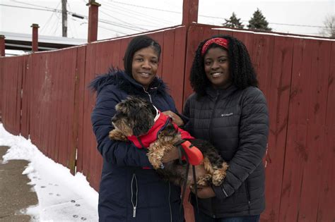 Shaggy-dog tale a doggone delight – Winnipeg Free Press