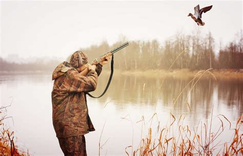 20 Best Duck Hunting Guns In 2023 Outdoorworld Reviews
