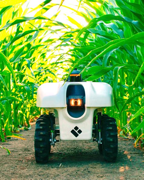 Robotic Farming Tackles Weeds And Reduces Costs Agrisecure