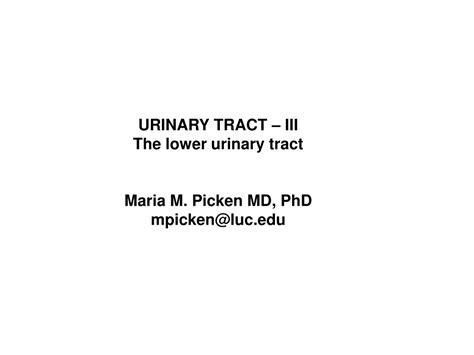Ppt Urinary Tract Iii The Lower Urinary Tract Maria M Picken Md