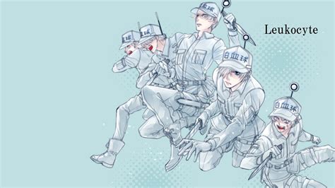 Anime Cells At Work U 1146 Cells At Work Wallpaper Anime