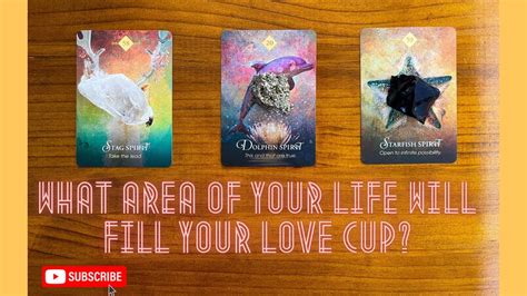 Pick A Card Timeless Reading What Area Of Your Life Will Fill Your Love Cup Youtube