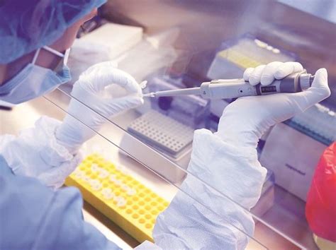 Covid Brazil Announces Agreement With Uk To Produce Oxford Vaccine
