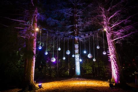 The Enchanted Forest Enchanted Forest Scotland Forest Light