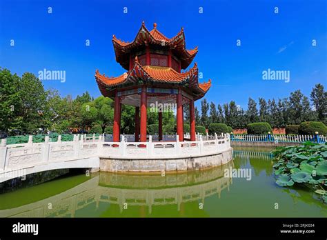 Chinese Pavilion Lotus Pond Park Hi Res Stock Photography And Images Alamy