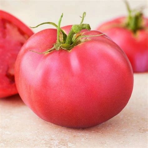 Pink Girl Hybrid Tomato Seeds Varieties Of Tomatoes Heirloom Seeds
