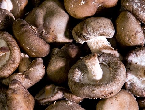 How Mushrooms Can Affect Your Health Attn