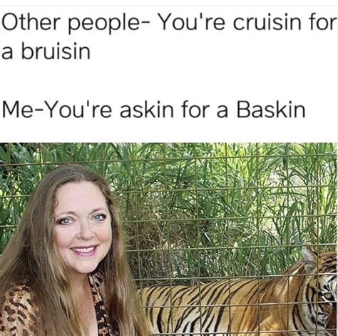 Hey There Cool Cats And Kittens Here Are Our Favorite Carole Baskin Memes Baskin Bees Memes