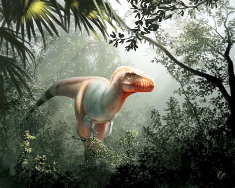 The 10 Coolest Dinosaur Findings Of 2020 Live Science