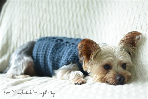 Free Charity Crochet Pattern Cabled Dog Sweater A