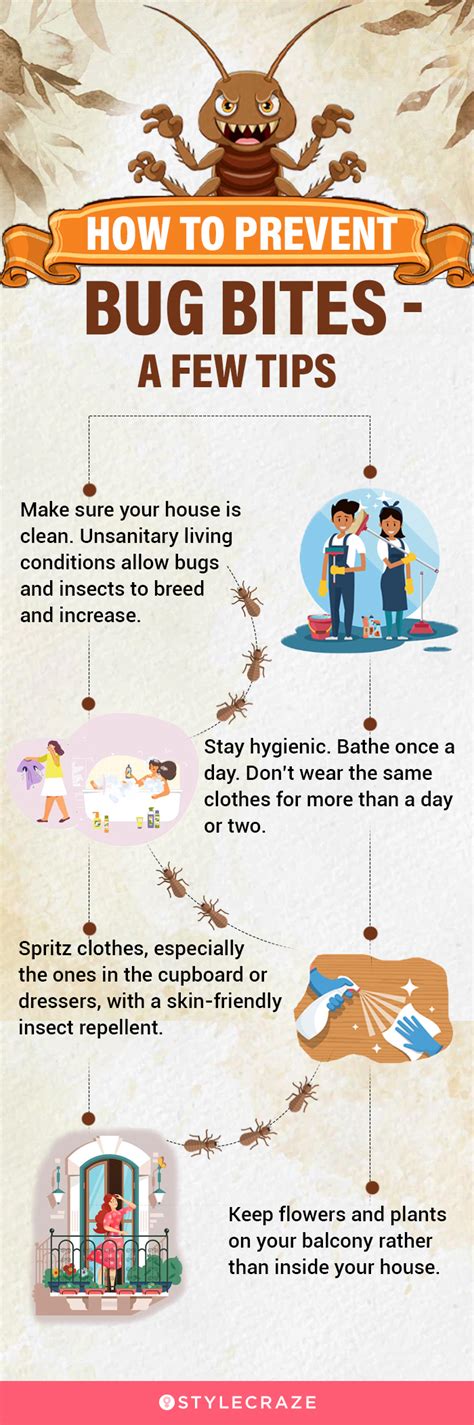 7 Home Remedies For Bug Bites Signs Symptoms And Risk Factors