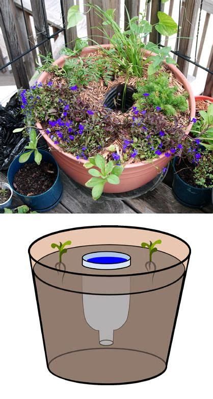 Idea Self Watering By Water Reservoir Have To Remember This When