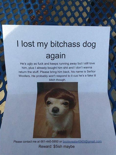 I Lost My Bitchass Dog Again Irl Troll Posters Know Your Meme