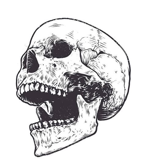 Best Cracked Skull Illustrations Royalty Free Vector Graphics And Clip