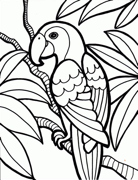 Parrot Birds Coloring Pages