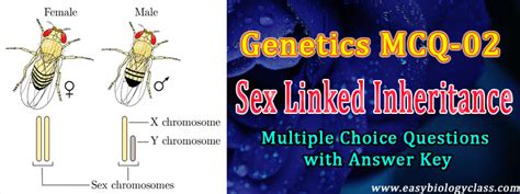 Genetics Mcq On Sex Linked Inheritance Easy Biology Class