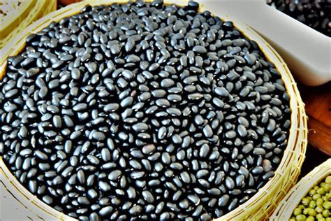 Learn How To Grow Black Beans In 7 Easy Steps