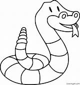 Rattlesnake Coloringall sketch template