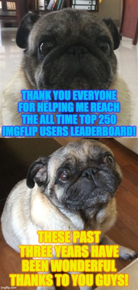 Pugs Memes And S Imgflip