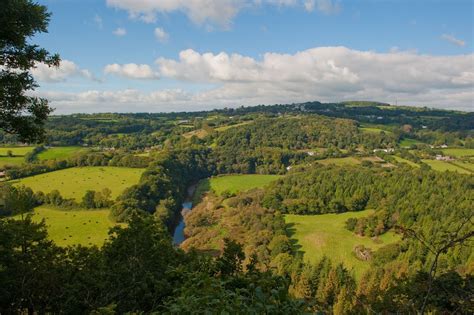 A Dogs Life In The Tamar Valley Cornwall Pl17 The View From