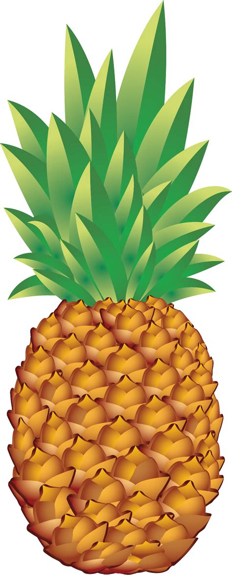 Download High Quality Pineapple Clipart Transparent Png Images Art