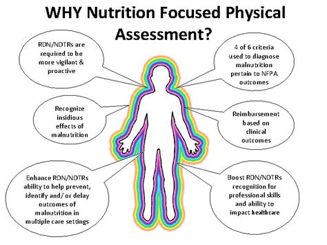 Nutrition Focused Physical Assessment In Dietetic Curriculum Practice