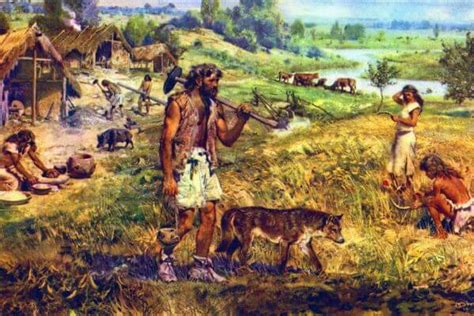 Origen De La Agricultura Evolución De La Agricultura En La Historia