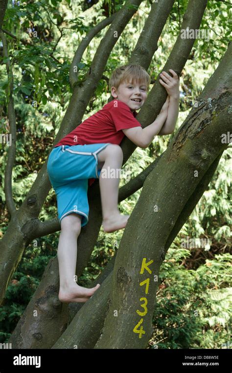Boy Climbing Tree Barefoot High Resolution Stock Photography And Images