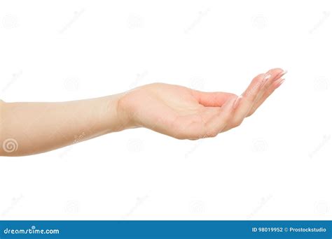 Woman`s Hand Keeping Empty Cupped Palm Crop Cutout Stock Photo