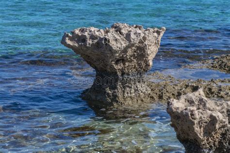 Stone Protrudes Above A Sea Surface Cyprus Stock Photo Image Of