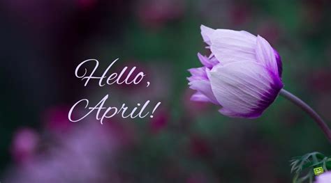 Hello April In April Fools Day Pranks We Trust Hello April
