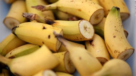 Gmo Disease Resistant Bananas May Be Key To Saving African Staple