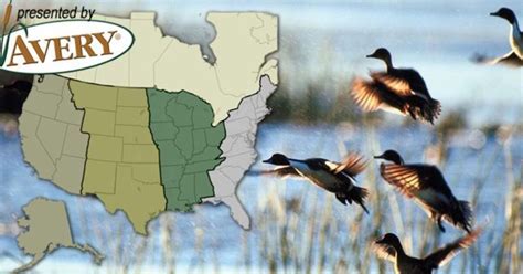 Waterfowl Migration Map