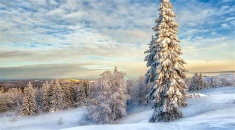 X Resolution Winter Landscape With Snow Covered Trees X Resolution Wallpaper