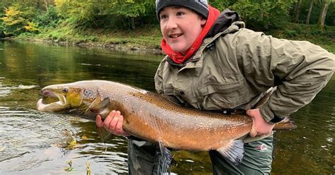 Tay Salmon Fishing Scotland Catches On The River Tay Hold Up Well