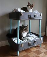 Ideas For Cat Beds