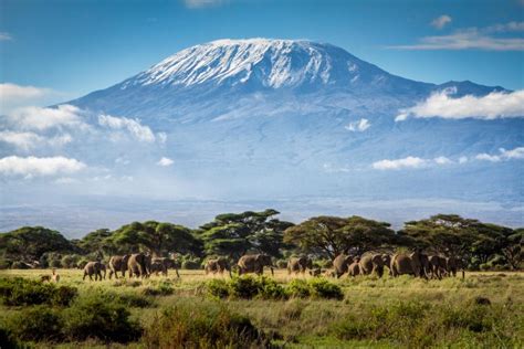 Guide To Climbing Kilimanjaro 7 Summits Project