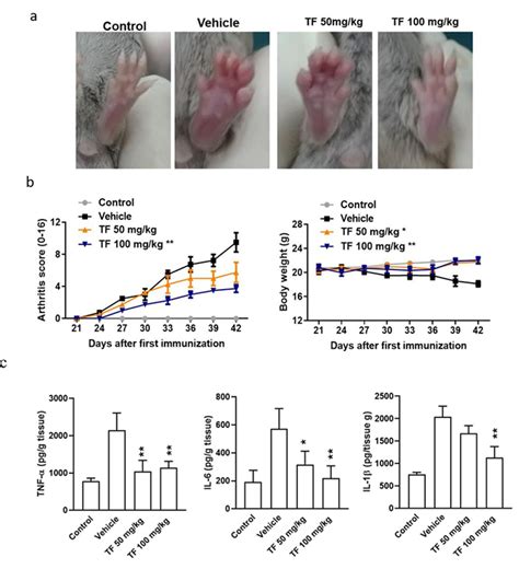 Ab0079 Theaflavin Alleviates Collagen Induced Arthritis In Mice By