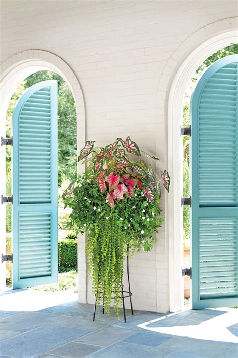 125 Container Gardening Ideas Southern Living