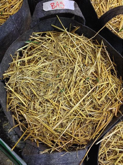 Barley Straw Mulch Buildasoil