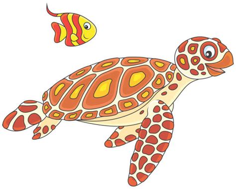 70 Loggerhead Turtle Clip Art Stock Illustrations Royalty Free Vector