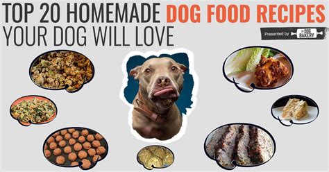 Homemade diabetic dog food recipes (like this one, this one or this one) should follow the above mentioned guidelines on macronutrients and specific foods. 20 Ideas for Homemade Diabetic Dog Food Recipes - Best ...