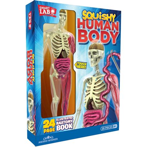 Smartlab Toys Squishy Human Body | Science & Discovery | Baby & Toys | Shop The Exchange