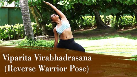 Yoga Asana Viparita Virabhadrasana Reverse Warrior Pose Stretches The Arms And Opens The Hip