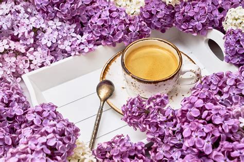 Spring Coffee Wallpapers Wallpaper Cave